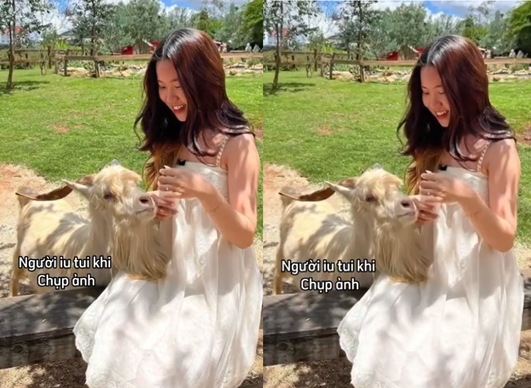 Tiểu thư từ bỏ tất cả yêu anh chim to